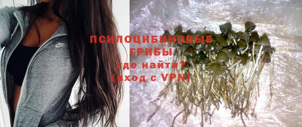 дмт Алексин