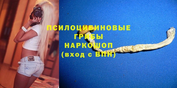 мдпв Абдулино
