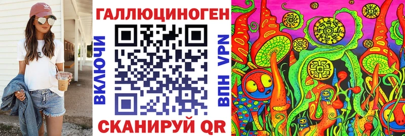 Псилоцибиновые грибы MAGIC MUSHROOMS  где можно купить   Грозный 