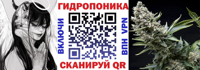 blacksprut как войти  Грозный  Бошки Шишки гибрид 
